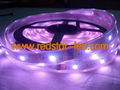 Dream color led strip6803 2