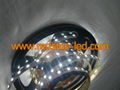Cheap waterproof RGB Flexible LED Strip 300led 12v led lights 4