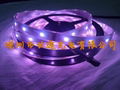 SMD5050 LPD6803 UCS1903 TM1812 RGB LED flexible strip IP65 2