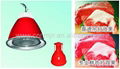 lowbay specialized supermarket fresh food lights 1