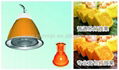 lowbay fresh food lights  (for bread,