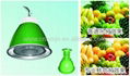 supermarket lighting (fruits & vegetables)