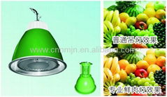 supermarket lighting (fruits & vegetables)