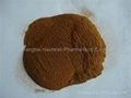 Eurycoma longifolia powder extract 1