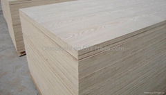 Furniture plywood(good quality and best price)