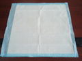 Disposable Incontinent Pad, Disposable Sanitary Pad  2