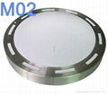 LED ceiling light Modern type  2