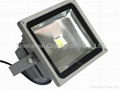 30W Landscape Flood lamp 1