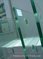 Laminated Glass 5