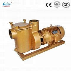 High Performance Copper Pumps for Sea Water