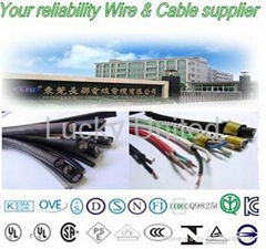 Dongguan Ever United Electric Wire & Cable Co.,Ltd