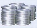 Galvanized Wire 1