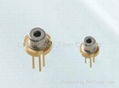 405nm 150mW Laser Diode