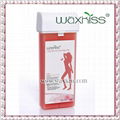 Roll-On HOT Depilatory Wax Cartridge Heater Wax Hair Removal Salon 5