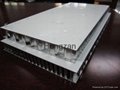 Aluminum Honeycomb Panel 4