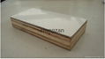 FRP & Plywood composite panel