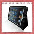 iPad Mini Case