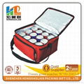 Beer cooler bag 1