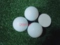 高尔夫台湾进口单层球
