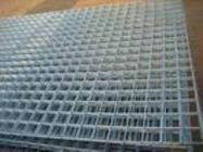 Welded wire mesh