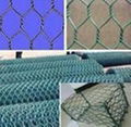 Hexagonal wire mesh 1