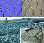 Hexagonal wire mesh