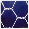 Hexagonal wire mesh 4