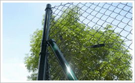 Chain link fence