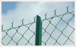 Chain link fence 2