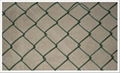 Chain link fence 5