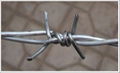 Barbed wire 5