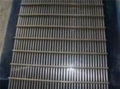 screen wire  mesh 5