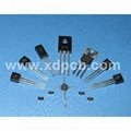 Electronic Component 