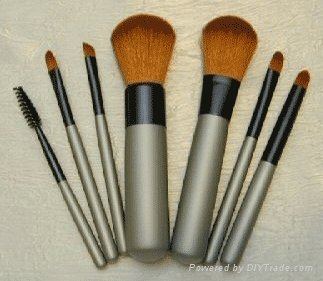 2012 hot sale high quality makeup brush 5