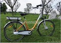 250W 8Fun motor electric bicycle