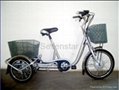 Tricycle ebike