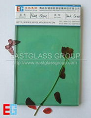 float glass tinted float glass
