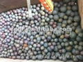 HRC55-65 FORGING STEEL BALLS FOR MILL 1