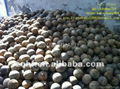 HRC55-65 FORGING STEEL BALLS FOR MILL 4