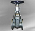 steel gate valve