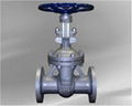 DIN gate valve 1