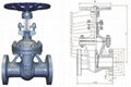 DIN gate valve 2