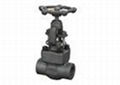 Forged globe valve