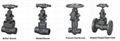 Forged globe valve 2