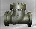 Steel check valve 1