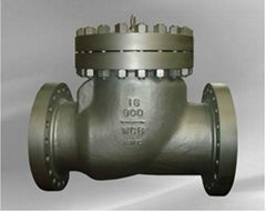 Steel check valve