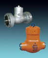 Steel check valve 2