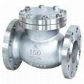 Steel check valve 3