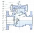 Steel check valve 4