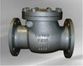 DIN swing check valve 1